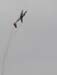 airshow